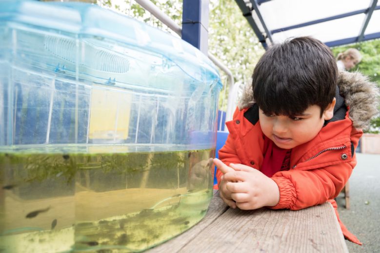 Child outside, pointing at tadpole in fish tank.